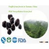 wild IQF black truffle from Yunnan China