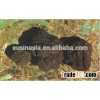 wholesale wild black truffle