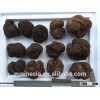 black matured truffle fresh truffle with good maturity