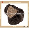 wild delicious dried truffle, Chinese tuber indicum