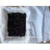 1-3cm fresh black truffle fresh tuber indicum