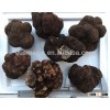 fresh truffle sell truffle