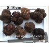 8-10cm fresh black truffle frozen truffle