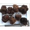 Fresh truffles prices