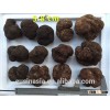 fresh white black truffle deep frozen truffle