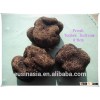 mature fres black truffle black tuber indicum