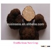 Chinese fresh tuber indicum truffle