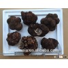 2015 crop fresh truffle