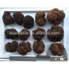 Fresh frozen truffle with big size