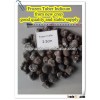 new crop high quality fresh black truffle