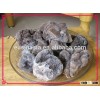 best price of fresh frozen whole tuber indicum,truffle