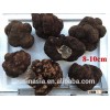 bigger sizes matured black truffle