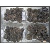 organic fresh tuber indicum truffle