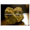 best quality fresh truffle
