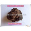 new crop fresh black tuber indicum