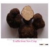 matured black truffle