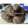 100% mature fresh black truffle