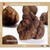 black white truffle