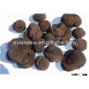 organic truffle tuber indicum