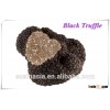 white truffle wild truffle
