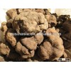 dry tuber indicum cubes