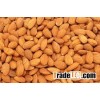 Best Quality Almond Nuts ready for supply with Discount