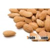 Wholesale price of sweet almond nuts