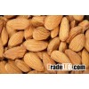 Almonds - Almond Nuts - Raw Bitter and Sweet Kernels - Ships in Bulk From Turkey