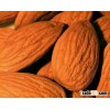 Tasty Almond Nuts Available in 22kg Vacuum Bags