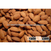 Almond