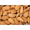 Grade A Almonds nuts