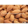 Almond Nuts, Best Quality Almond Nuts, Grade A Almond Nuts for sale