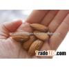 almonds nuts for sale in turkey cheap price and good quality