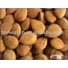 Organic Almonds