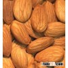 Raw and Processed Almonds nuts and Kernel In Stock For Sale