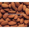 new stock Raw Almond Nuts 27/30 for sale
