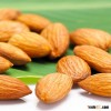 High quality Almond kernel