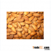 Premium Quality Eatable Almond nuts