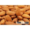 New Crop Year Raw Bitter Almond Nuts