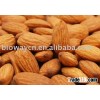Organic Dried Apricot