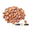 Roasted Almond (Salted)