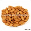 Xinjiang Badam/Chinese almond