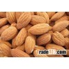 Clean and Best Quality Almond Nuts