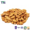 TTN CHINESE WHOLESALE RAW ALMOND KERNEL ALMOND PRICES