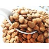almond nut