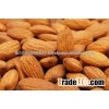 Pistachio Nuts,Pine Nuts,Cashew Nuts,Macadamia Nut,Almond, Walnuts, Chest Nuts