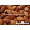 Almonds, Apricot Kernels, Cashew Nuts, Hazelnuts, Macadamia Nut, Pistachio Nuts for Sale