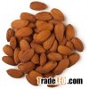 Organic Raw Almond