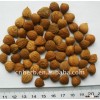 bitter apricot kernel/sweet apricot kernel