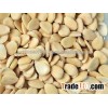 Blanched Debittered Sweet Apricot Kernel